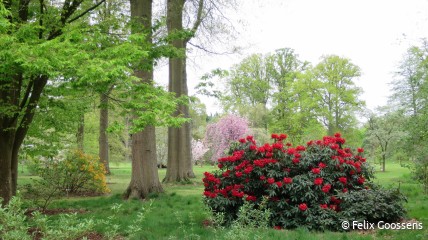 Bezoek Arboretum Wespelaar
